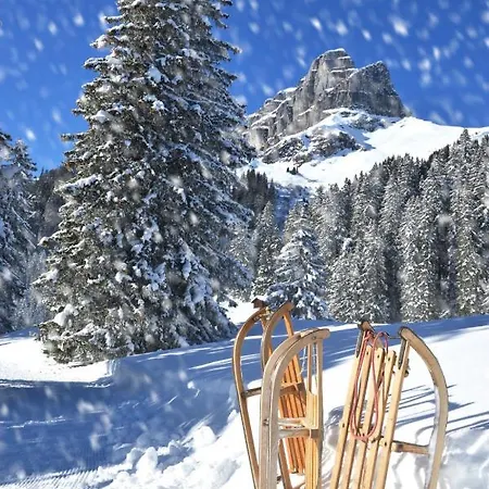 Апартаменты Allod Park Haus C U04 By Interhome Давос