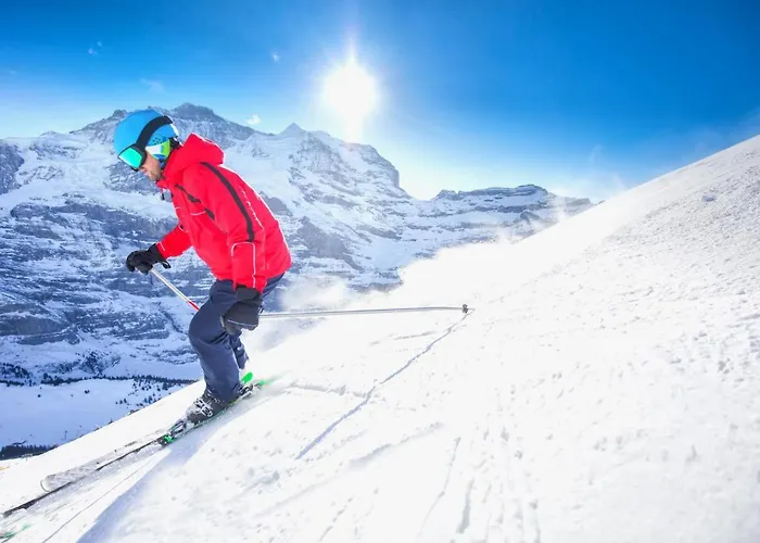 Allod Park Haus C U04 By Interhome Davos