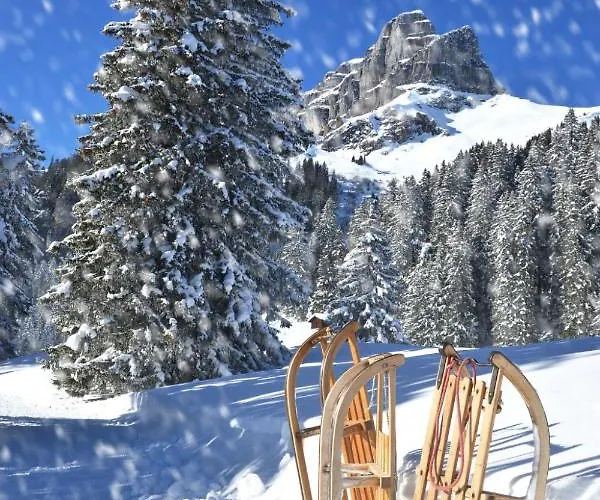 Apartmán Allod Park Haus C U04 By Interhome Davos